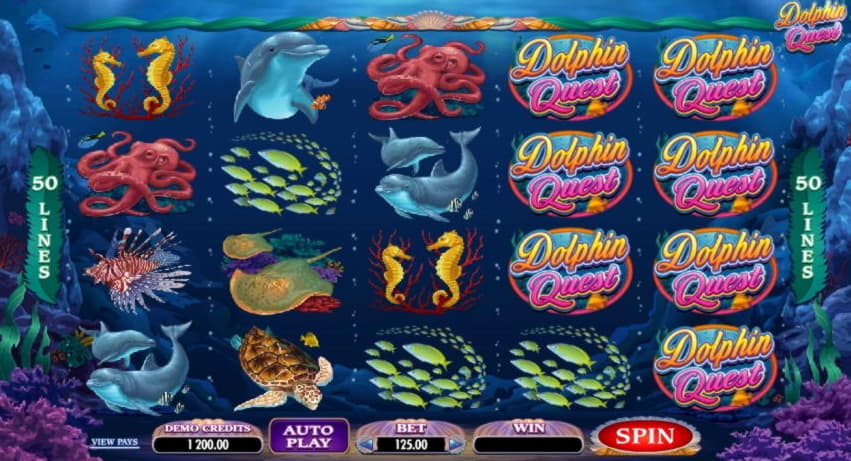 €485 Tournament at Cashmio Casino