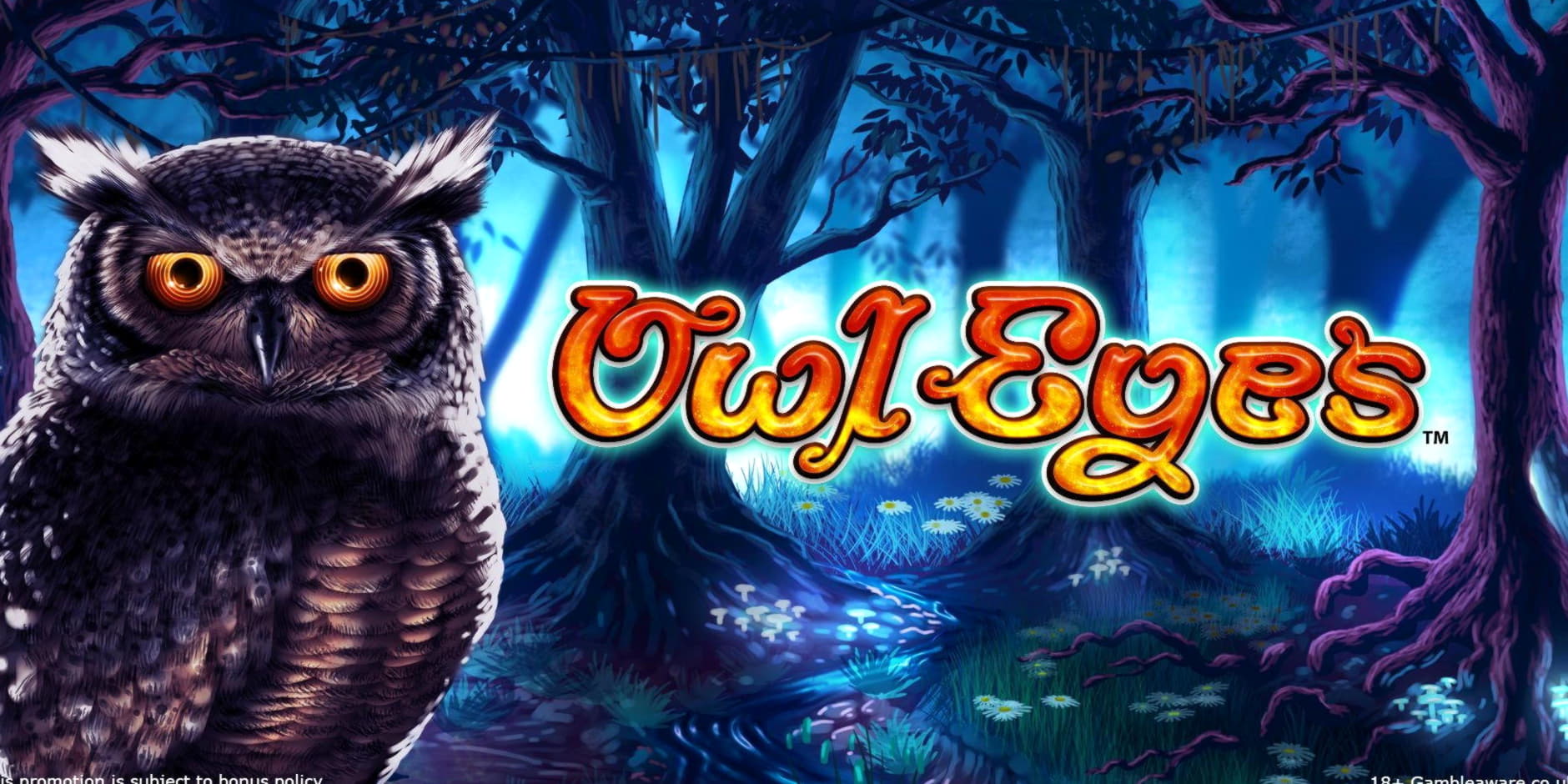 ﻿$265 Casino tournaments freeroll at No Bonus Casino