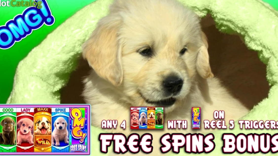 44 Loyalty Free Spins! at River Belle Casino