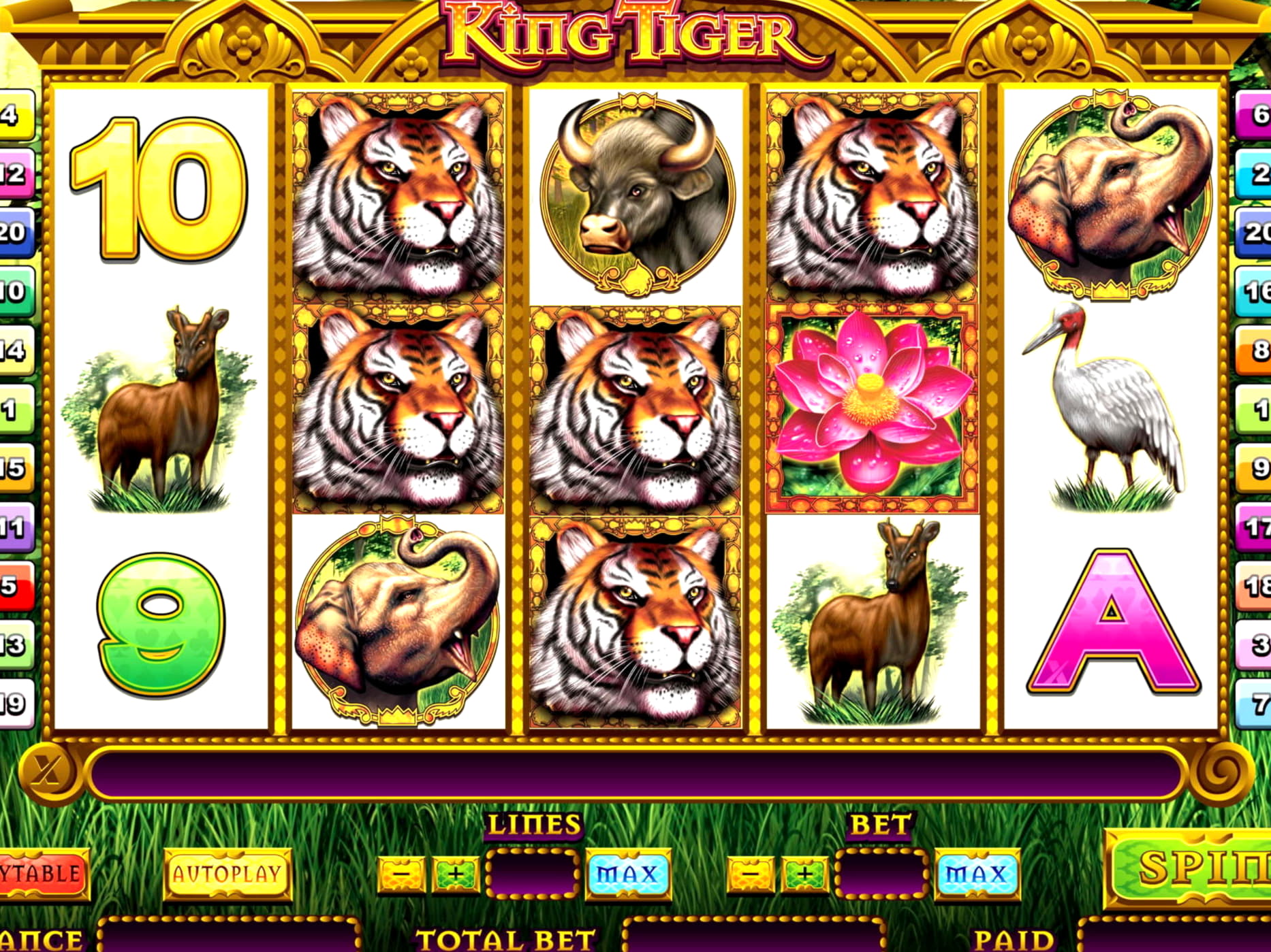 410% Match bonus casino at Maldives Casino 