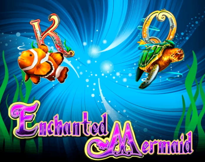 135 Free spins casino at Dafa Bet Casino