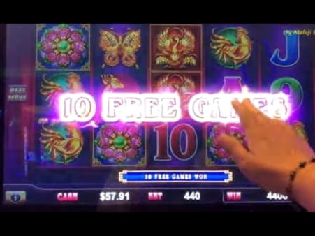 175 FREE Spins at Maldives Casino 