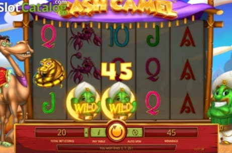 $660 Free chip casino at Treasure Island Jackpots Casino (Australia Casino Mirror)