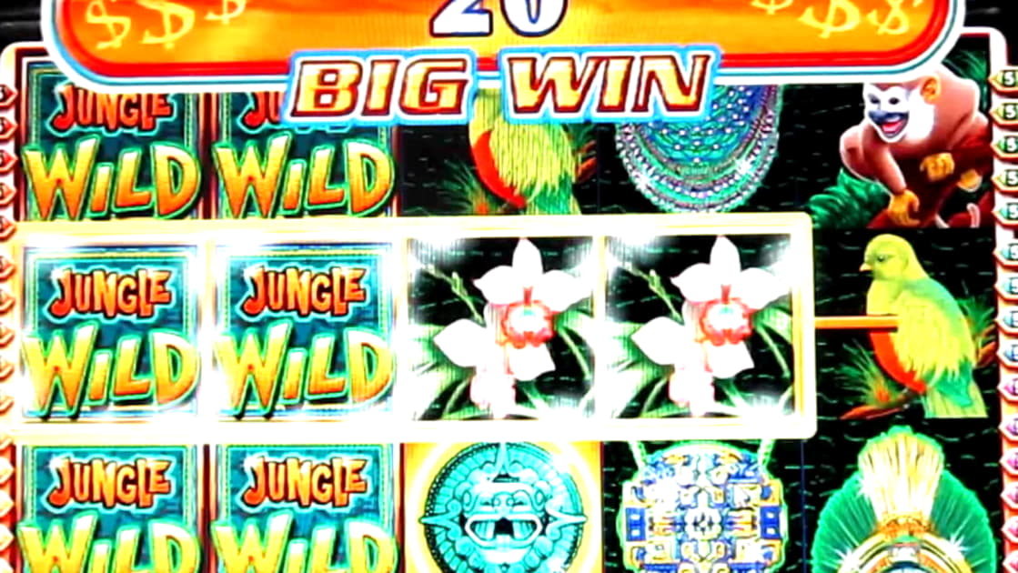 525% First deposit bonus at Intertops Casino