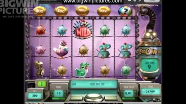 $495 Casino Chip at Dafa Bet Casino