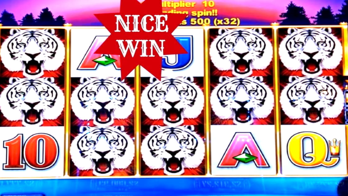 55 Free Spins at LV Bet Casino
