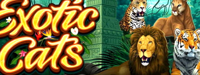 $175 No Deposit Bonus Code at Jackpot City Casino