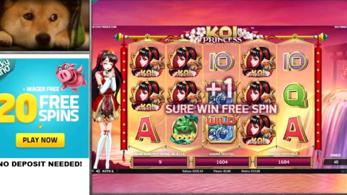 Eur 745 no deposit bonus code at Cashmio Casino