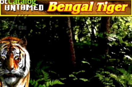 111 free spins no deposit at bWin Casino