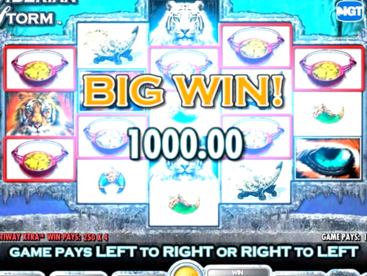 ﻿$2755 No deposit at Yes Casino 