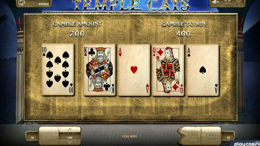 ﻿$805 Daily freeroll slot tournament at Golden Star Casino