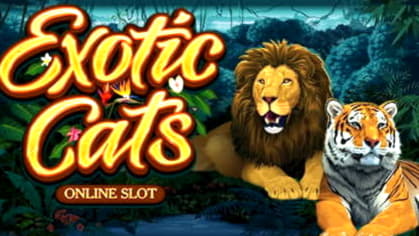 415% Match bonus casino at Cafe Casino