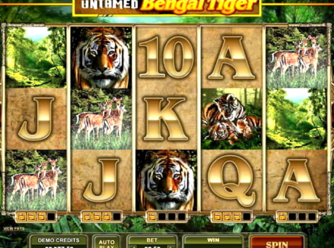 ﻿$3685 No deposit bonus code at Party Casino