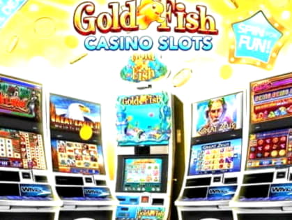 222 Loyalty Free Spins! at Golden Star Casino