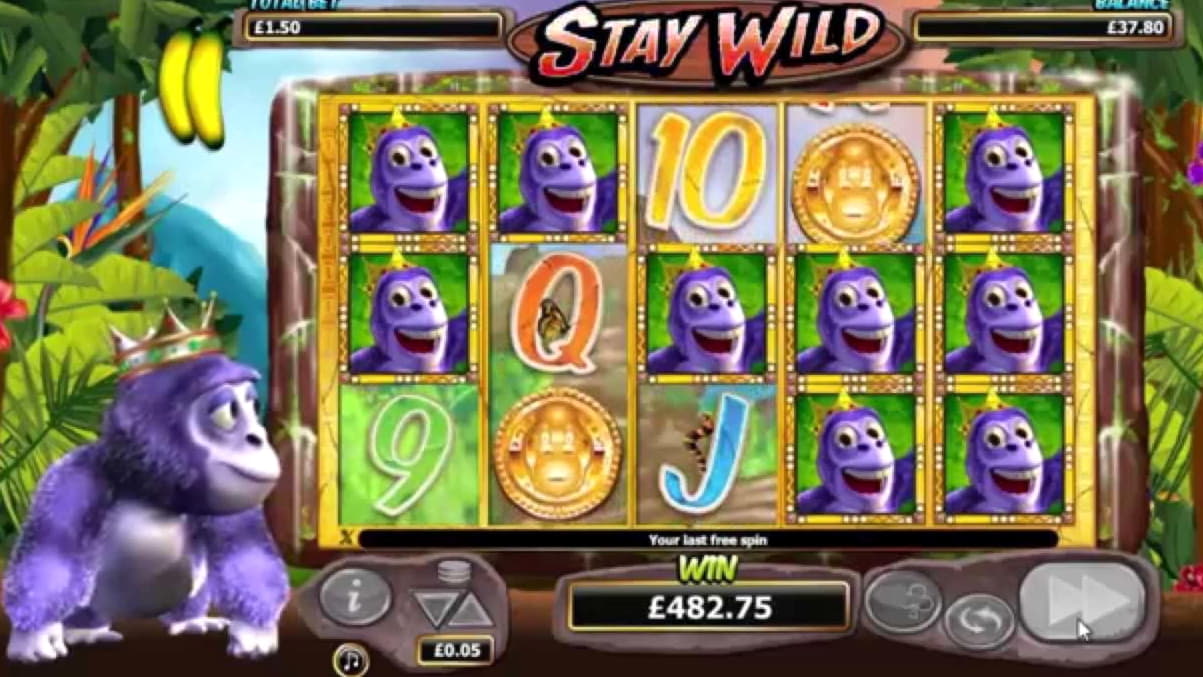 $915 Daily freeroll slot tournament at Euro Palace Casino