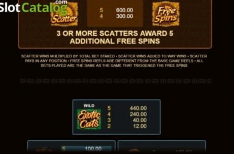 $770 Tournament at Casino com