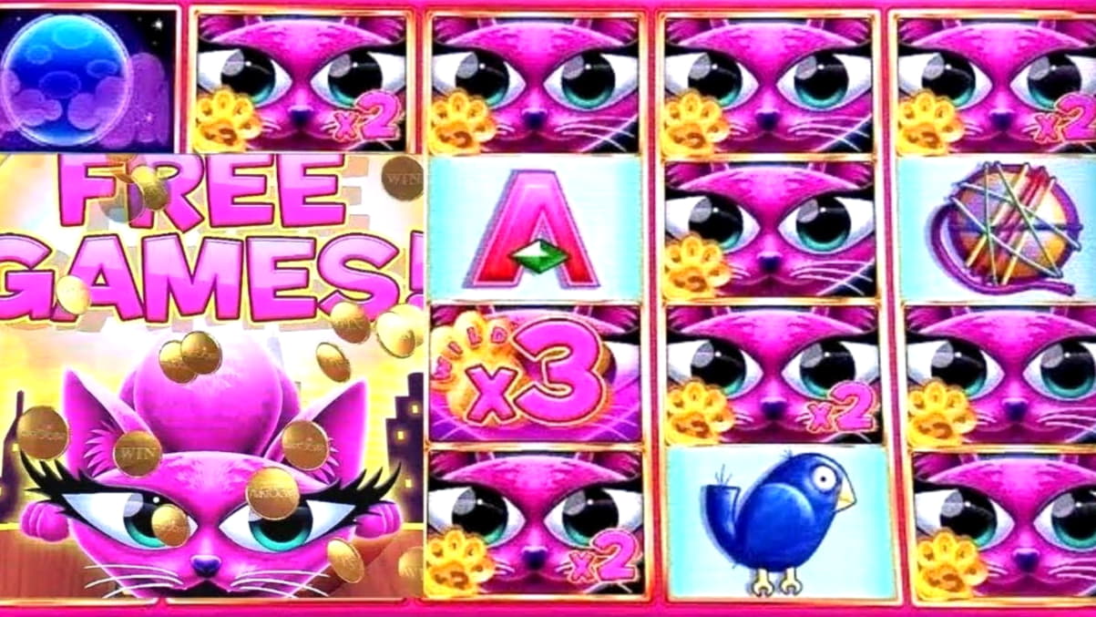 Eur 570 Casino tournaments freeroll at Cashmio Casino