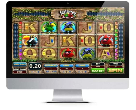 €605 Daily freeroll slot tournament at Golden Star Casino