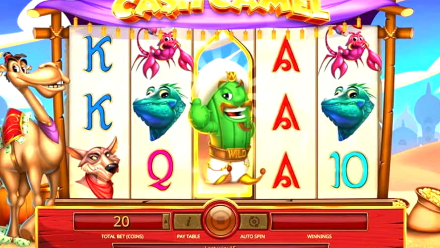 295% Match at a Casino at Intertops Casino