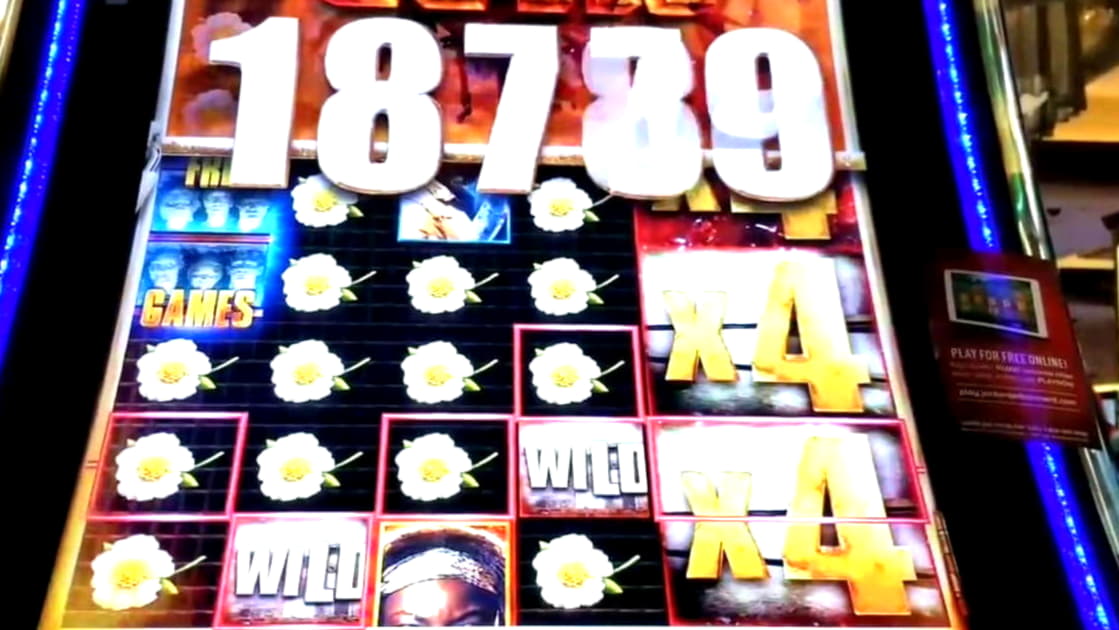 $3090 no deposit casino bonus at Treasure Island Jackpots Casino (Sloto Cash Mirror)