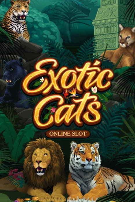 €50 Mobile freeroll slot tournament at Maldives Casino 