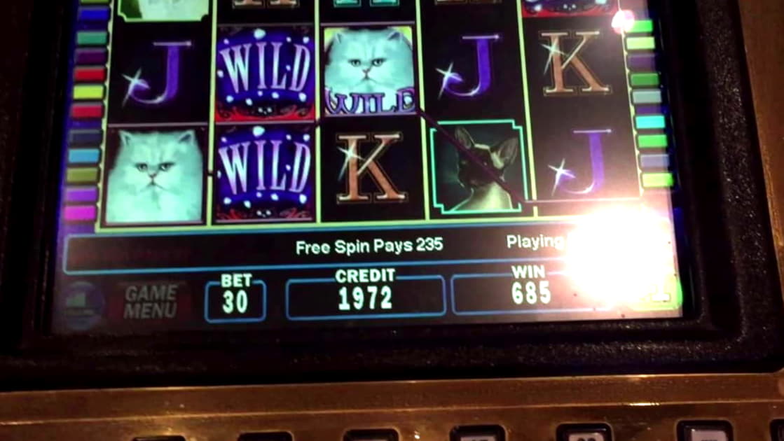 €1980 No deposit bonus code at Maldives Casino 