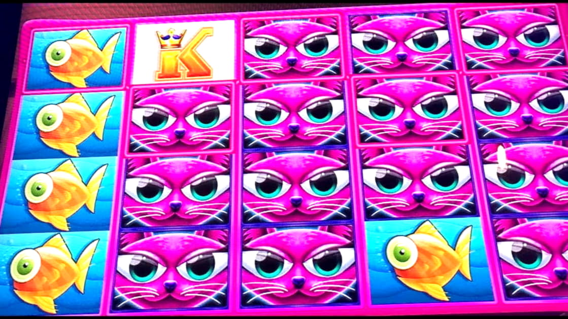 EURO 525 Free chip at Casino Las Vegas