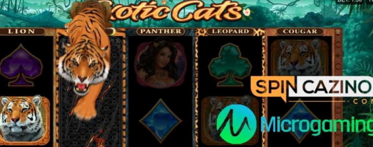 €888 Free Casino Tournament at Jackpot City Casino