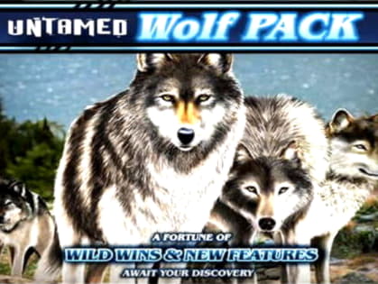 275 Loyalty Free Spins! at Casino com