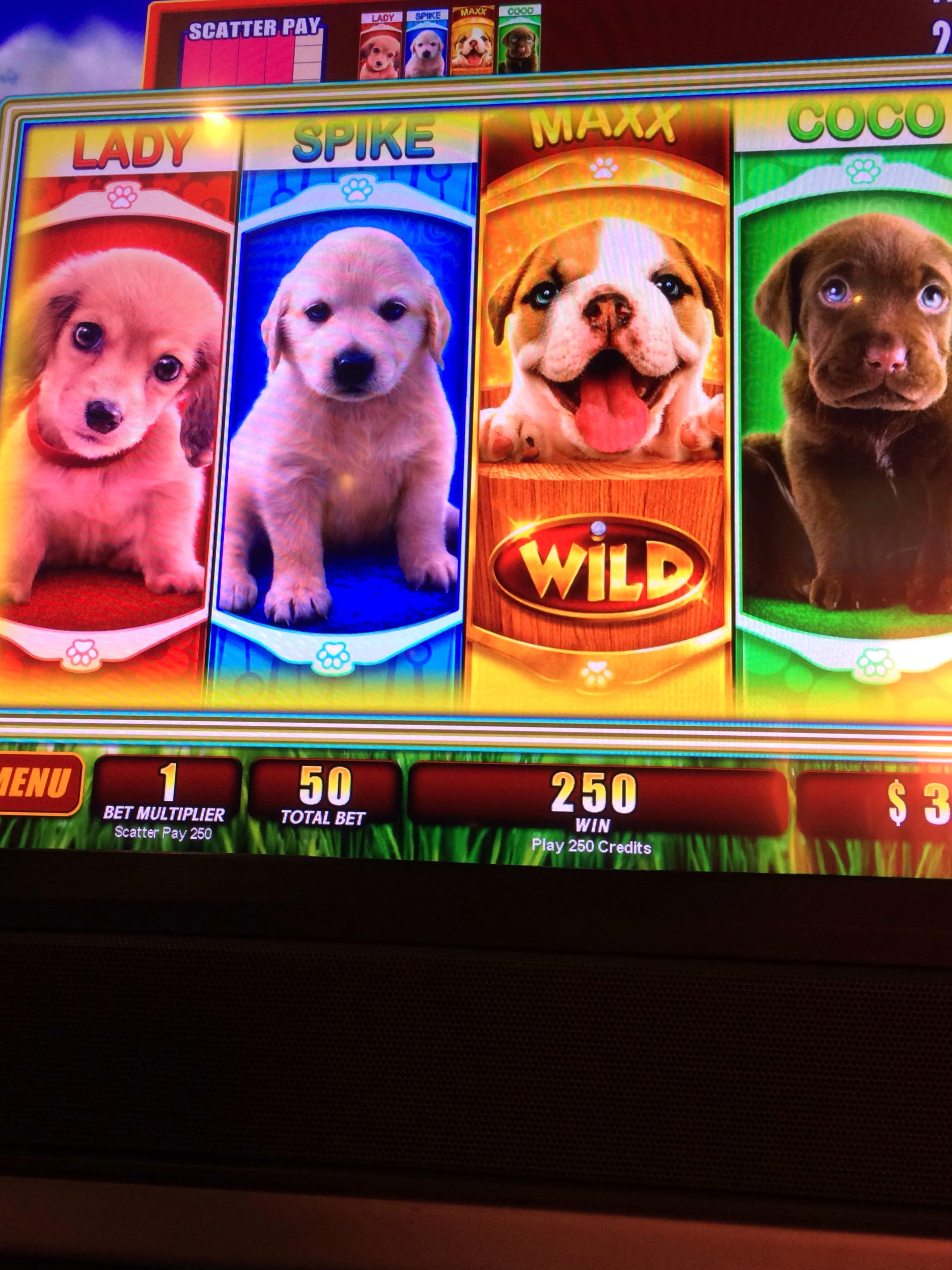 €600 casino chip at bWin Casino