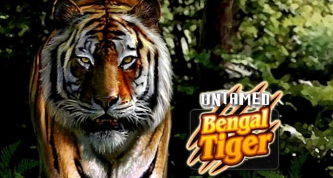 ﻿$155 Tournament at Royal Panda Casino