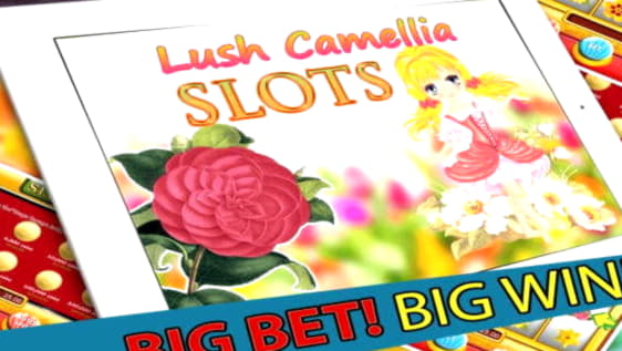 215 free spins casino at Euro Palace Casino
