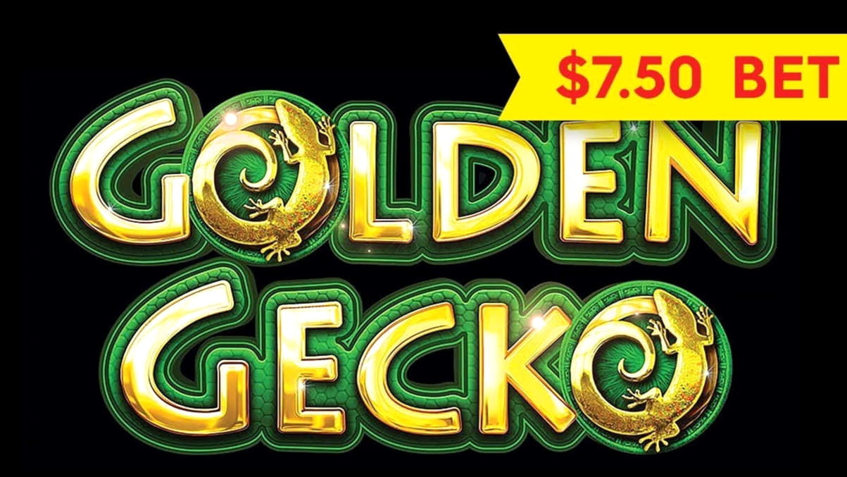 €370 Tournament at Spin Palace Casino