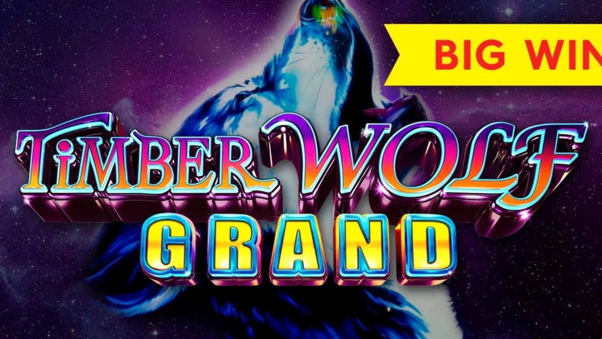 €22 Tournament at No Bonus Casino