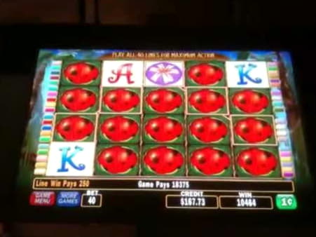 EURO 510 no deposit bonus at LV Bet Casino