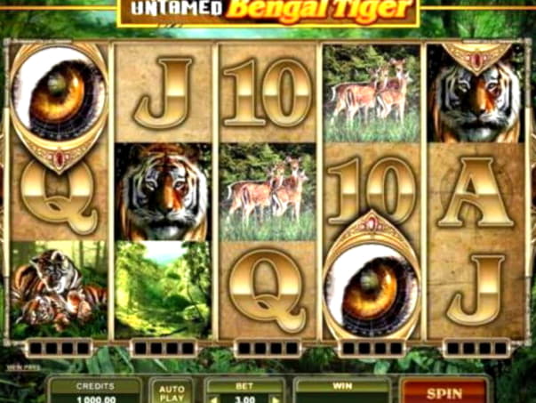 ﻿$430 Casino tournaments freeroll at Golden Star Casino