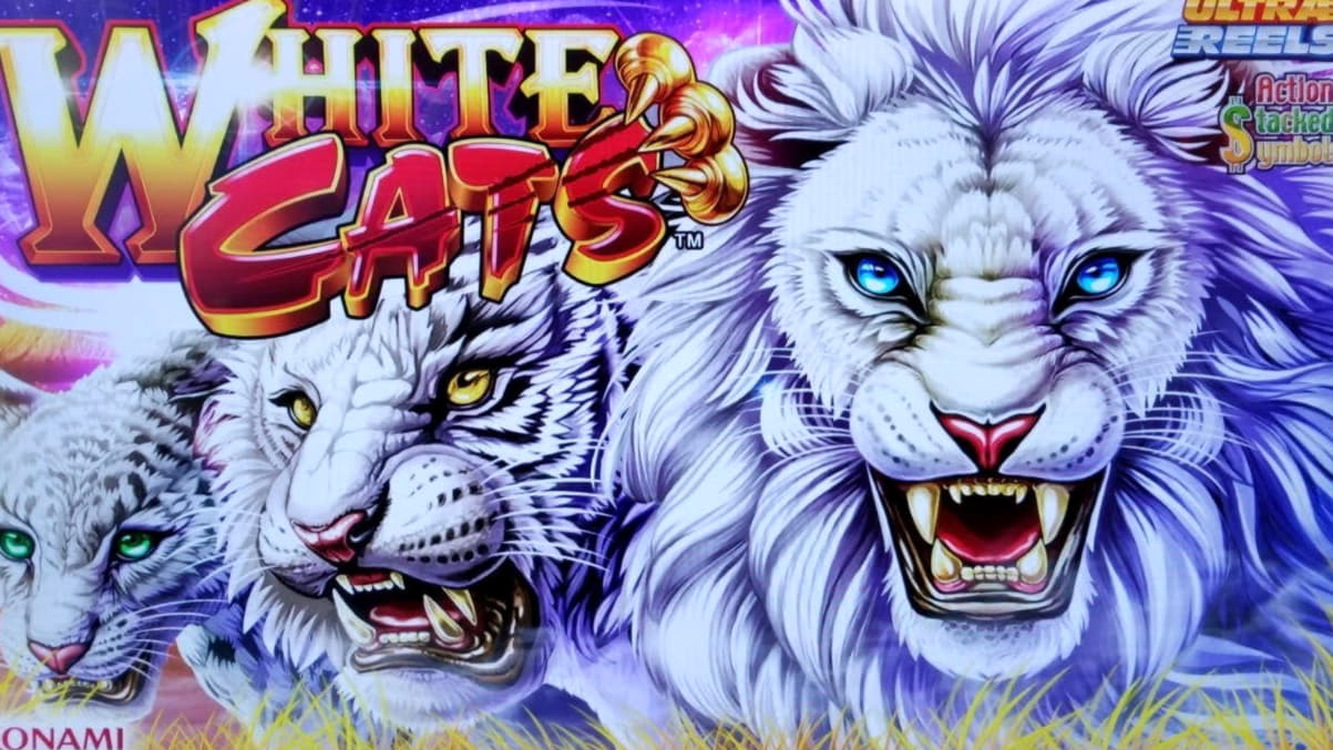 EUR 730 Online Casino Tournament at Royal Panda Casino