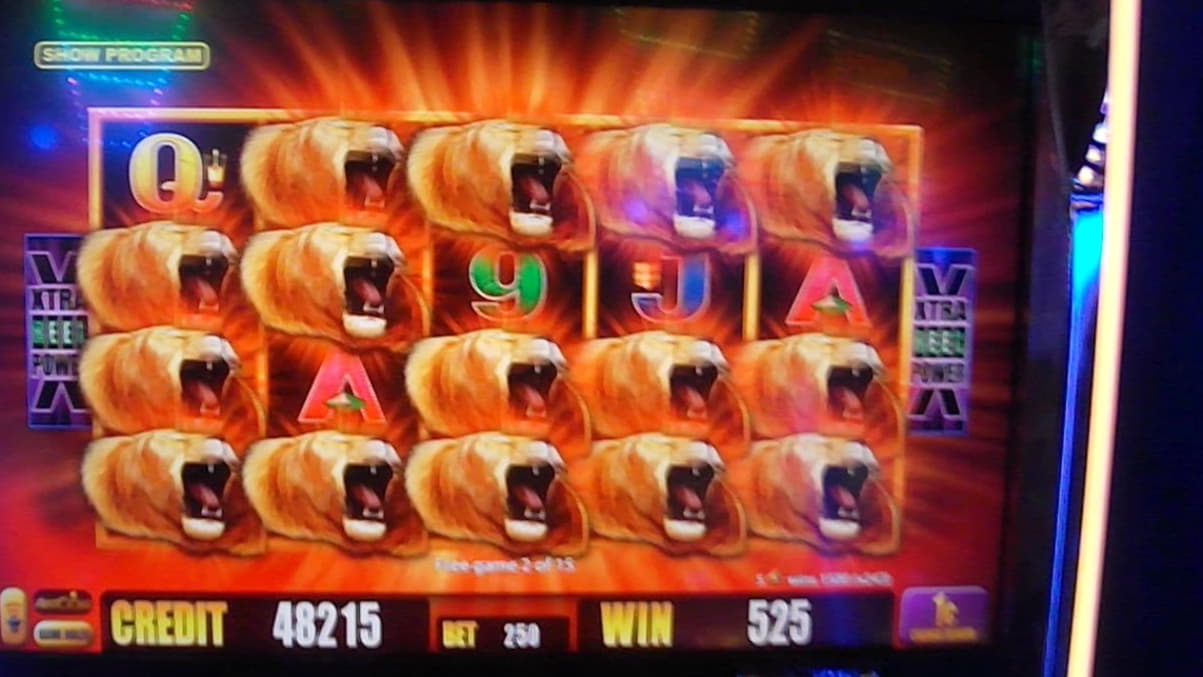 €905 Casino tournaments freeroll at Cashmio Casino
