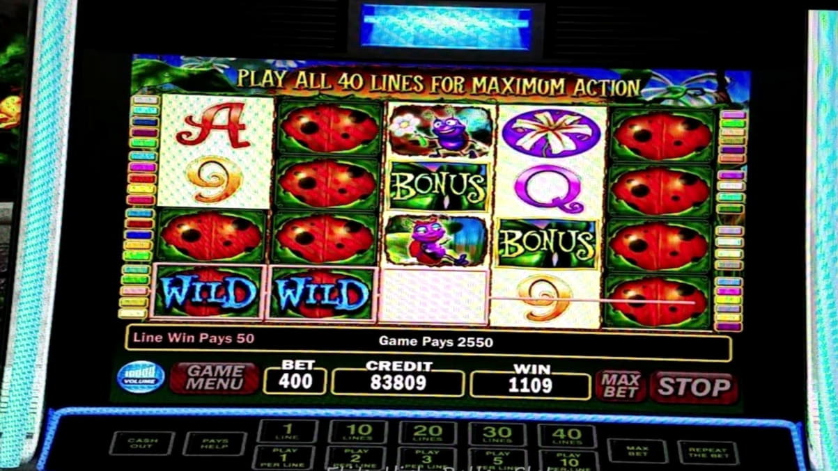 545% Deposit Match Bonus at No Bonus Casino