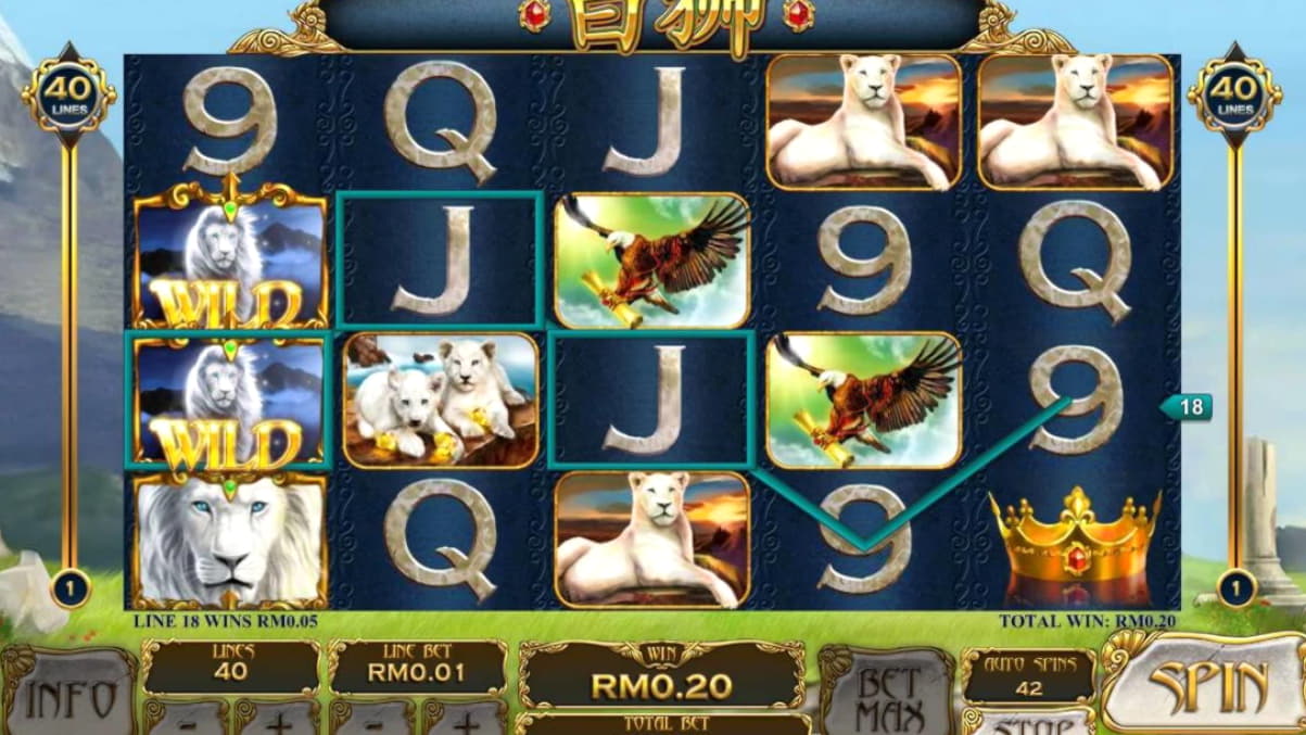 EUR 490 Daily freeroll slot tournament at bWin Casino