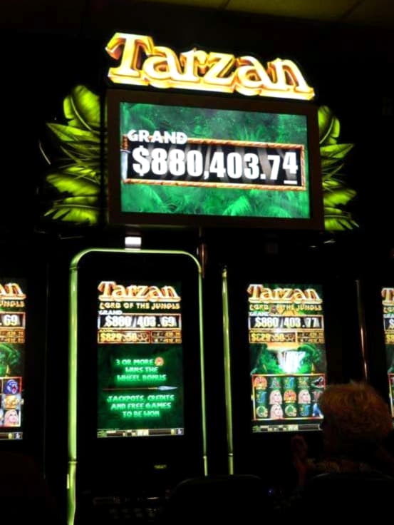 245% Match bonus casino at Dafa Bet Casino