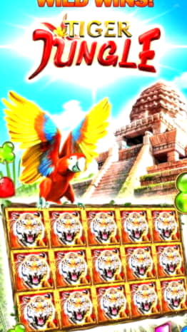 $695 Free Chip Casino at Slots Billion Casino