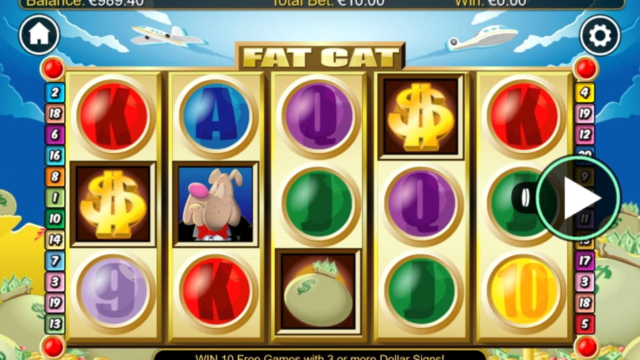 230 Loyal Free Spins! at Dafa Bet Casino