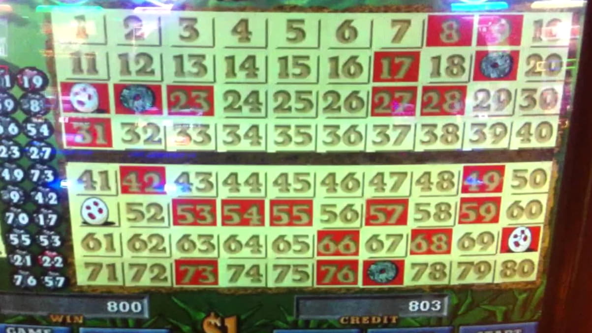 $455 Daily freeroll slot tournament at Party Casino