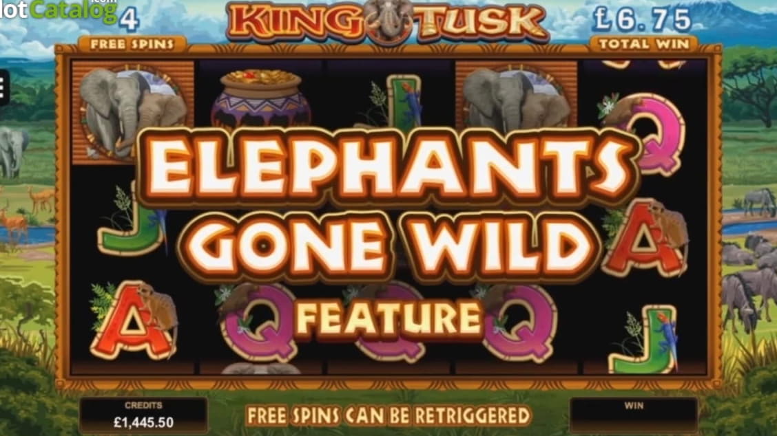 €165 FREE CHIP CASINO at Dafa Bet Casino