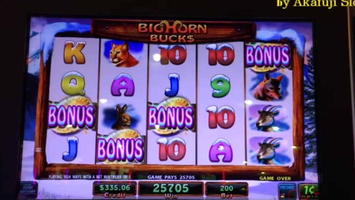 ﻿$1135 No deposit casino bonus at River Belle Casino