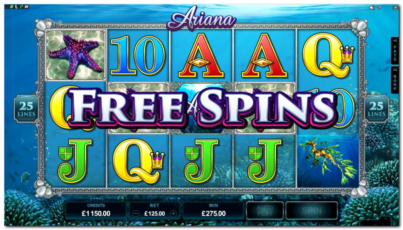 EUR 2285 no deposit bonus casino at Cashmio Casino