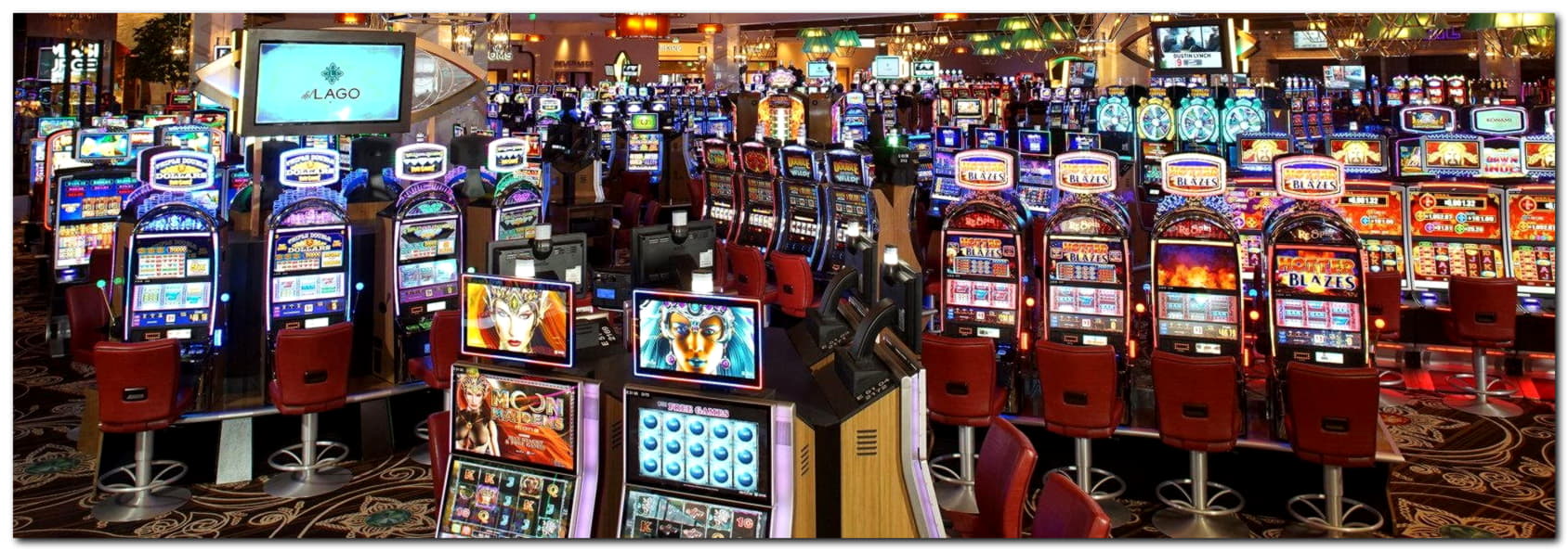 $40 Tournament at Dafa Bet Casino