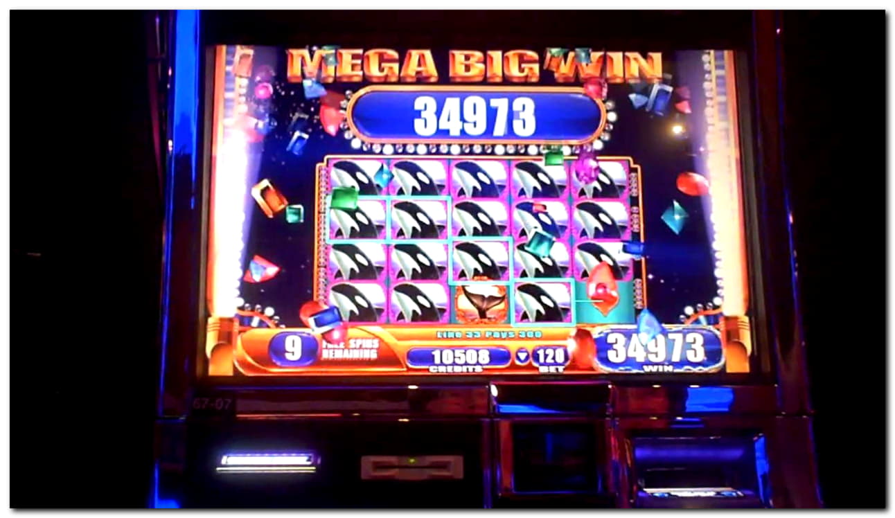 255 Loyal Free Spins! at bWin Casino