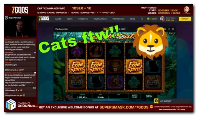 ﻿$20 Tournament at Party Casino